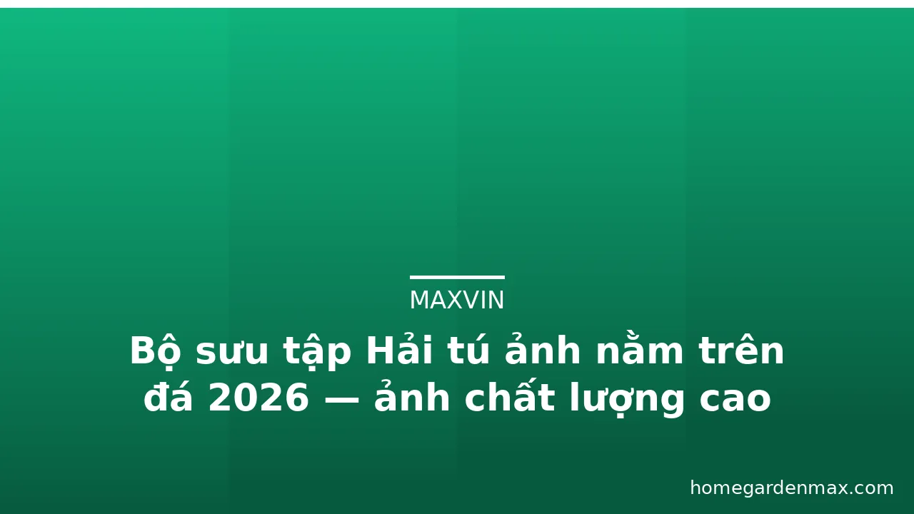 Bộ sưu tập Hải tú ảnh nằm trên đá 2026 — ảnh chất lượng cao · ảnh 1