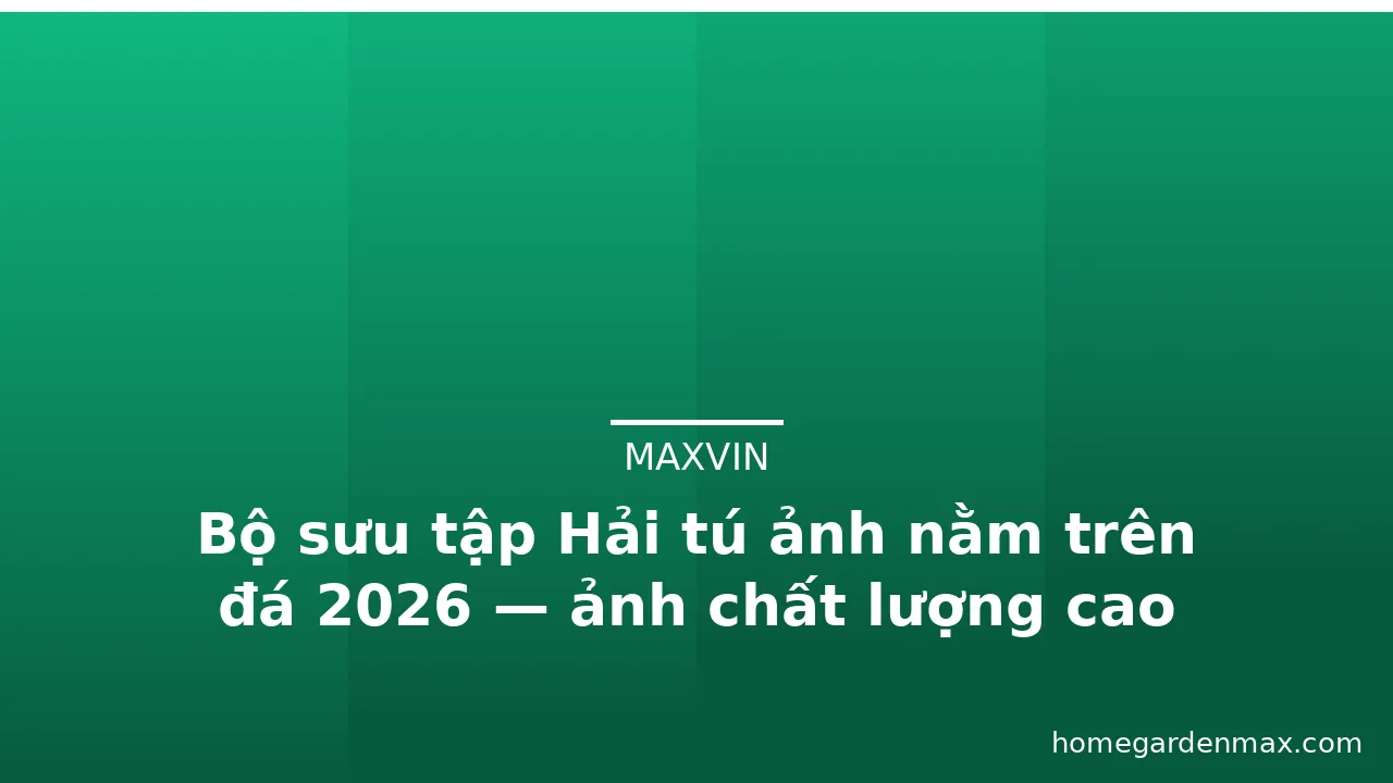 Bộ sưu tập Hải tú ảnh nằm trên đá 2026 — ảnh chất lượng cao · ảnh 2