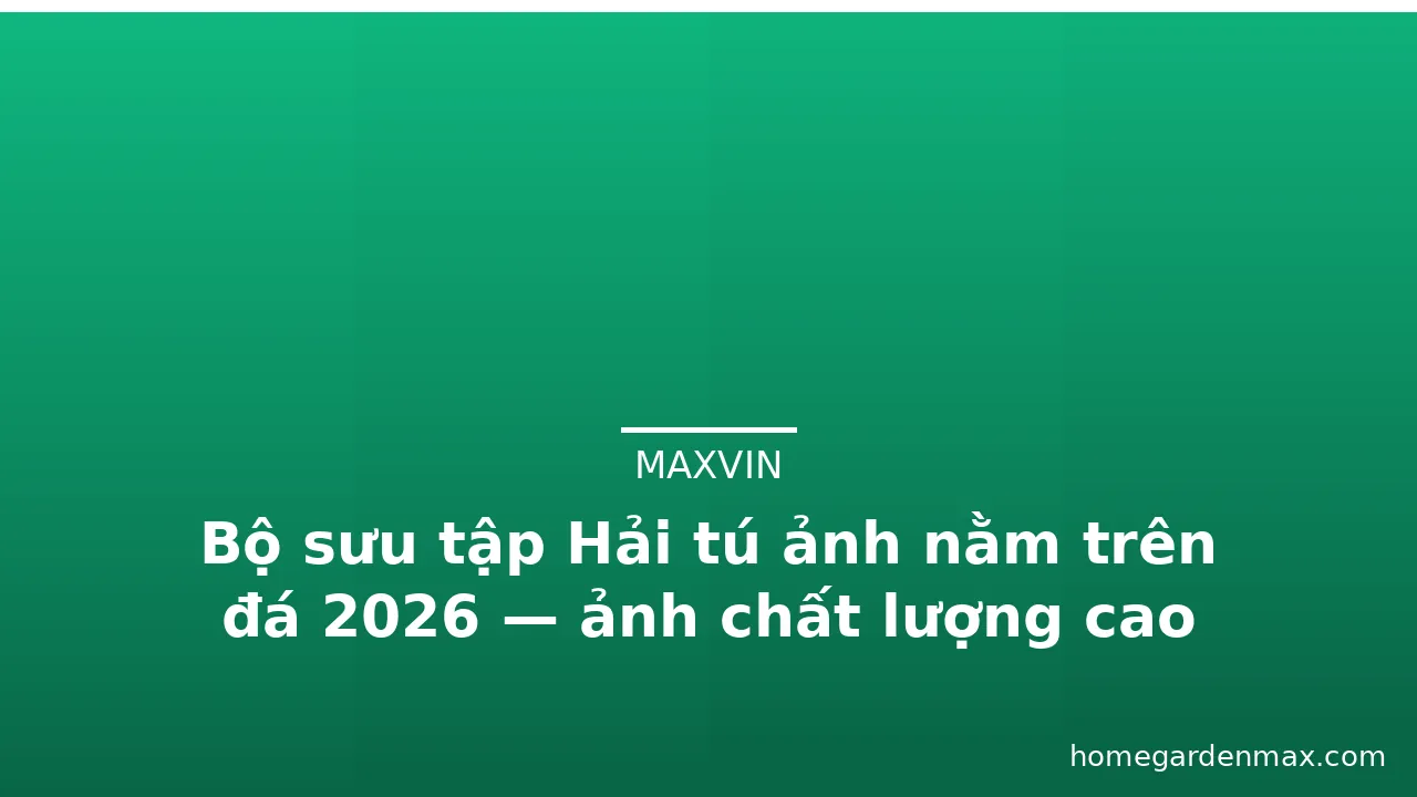 Bộ sưu tập Hải tú ảnh nằm trên đá 2026 — ảnh chất lượng cao · ảnh 3