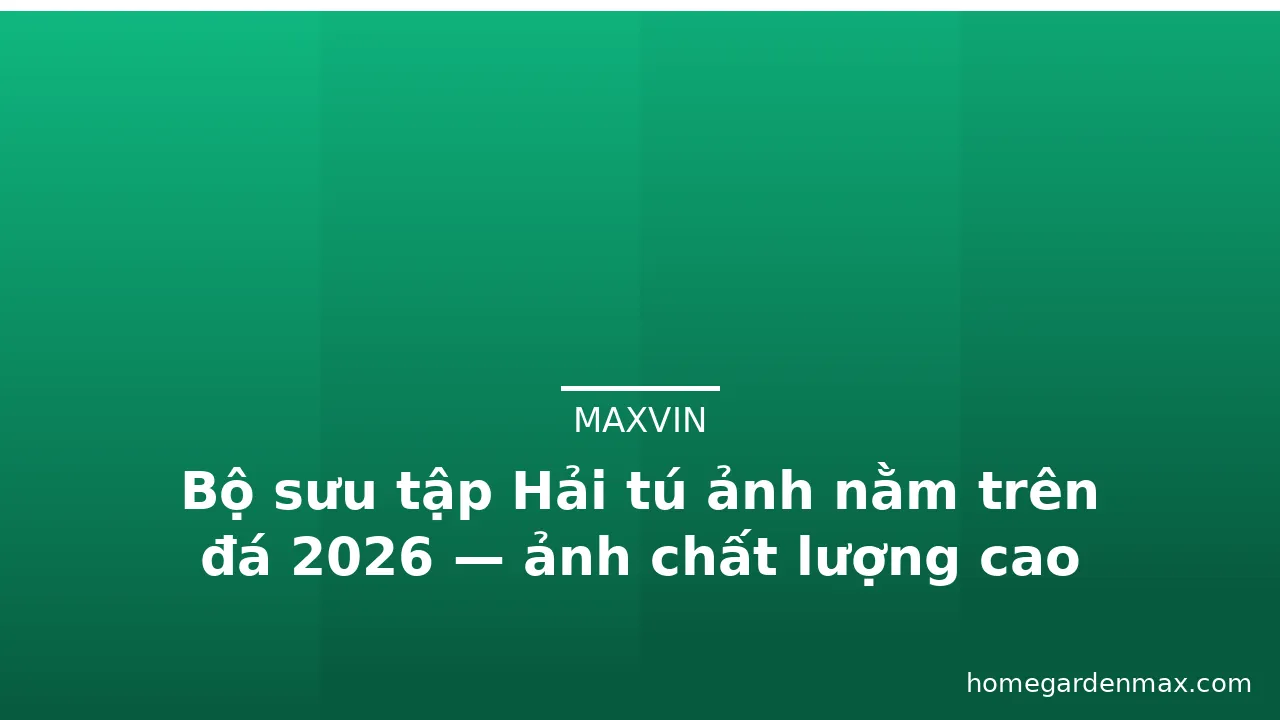 Bộ sưu tập Hải tú ảnh nằm trên đá 2026 — ảnh chất lượng cao